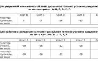Виды дизельного топлива в России