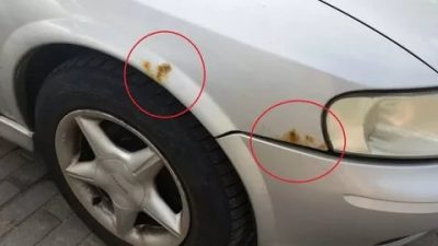 Появились рыжики на машине что делать?
