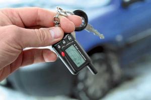 Грозный защитник авто Надежный страж машины