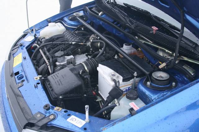 Начинка Гранта По капотом у Гранта