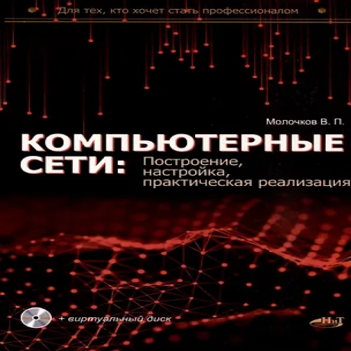 Компьютерные сети: построение, настройка, практическая реализация + виртуальный диск (Где дешевле?)