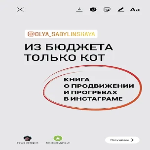 Из бюджета только кот. Книга о продвижении и прогревах в инстаграме (Где дешевле?)